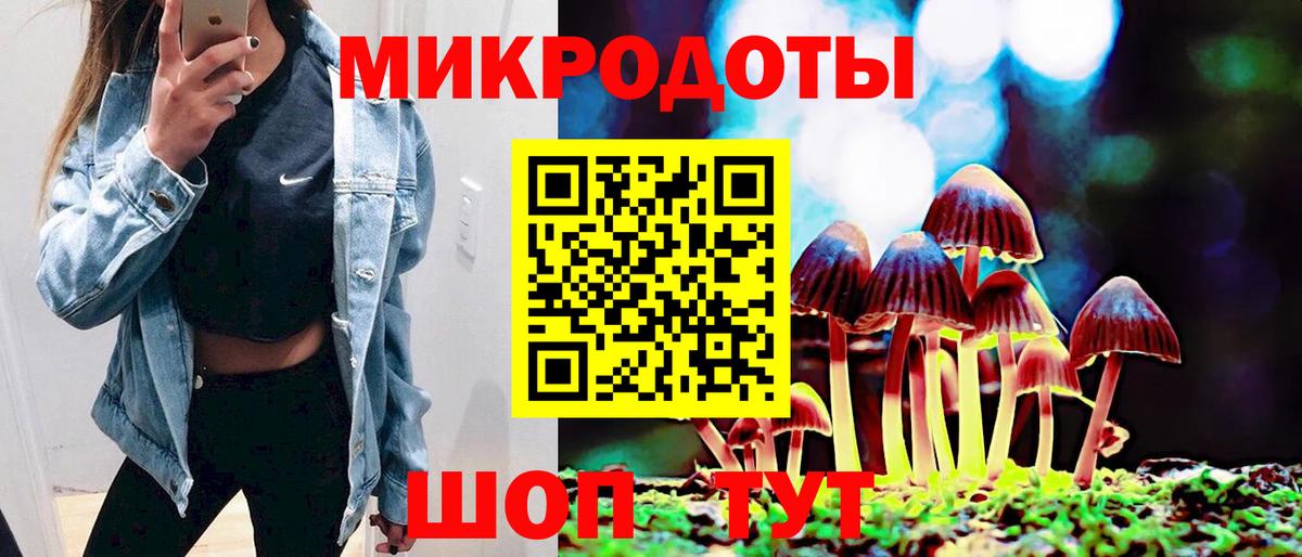 Кимры  Псилоцибиновые грибы мухоморы  Вход с VPN 